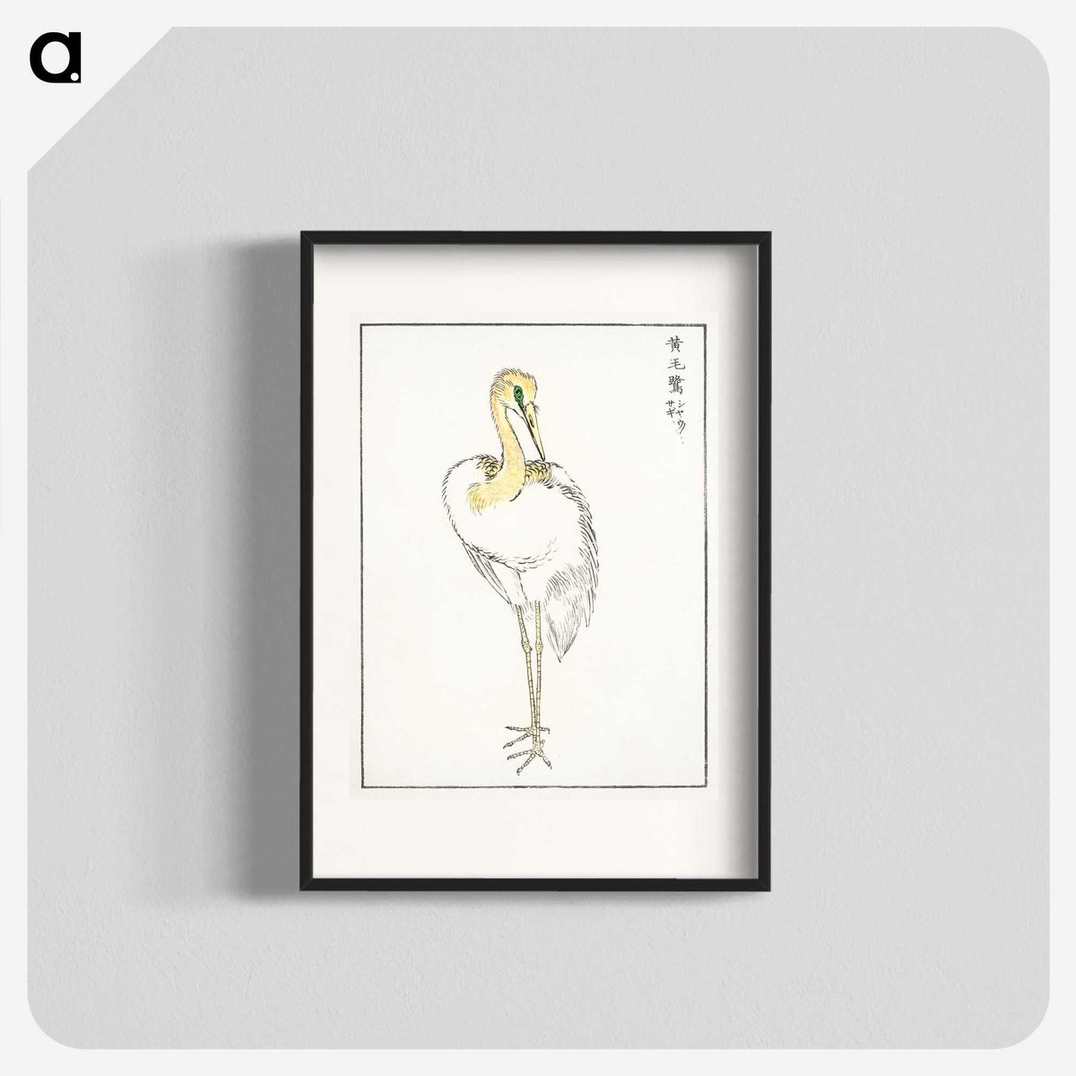 1-52_Pictorial-Monograph-of-Birds_blk