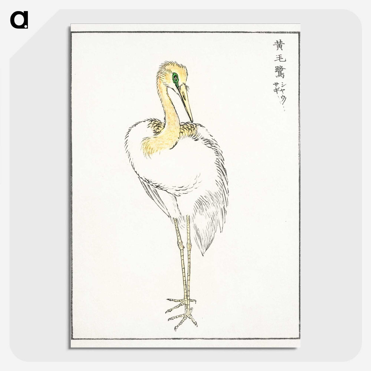 1-52_Pictorial-Monograph-of-Birds_picture-crop