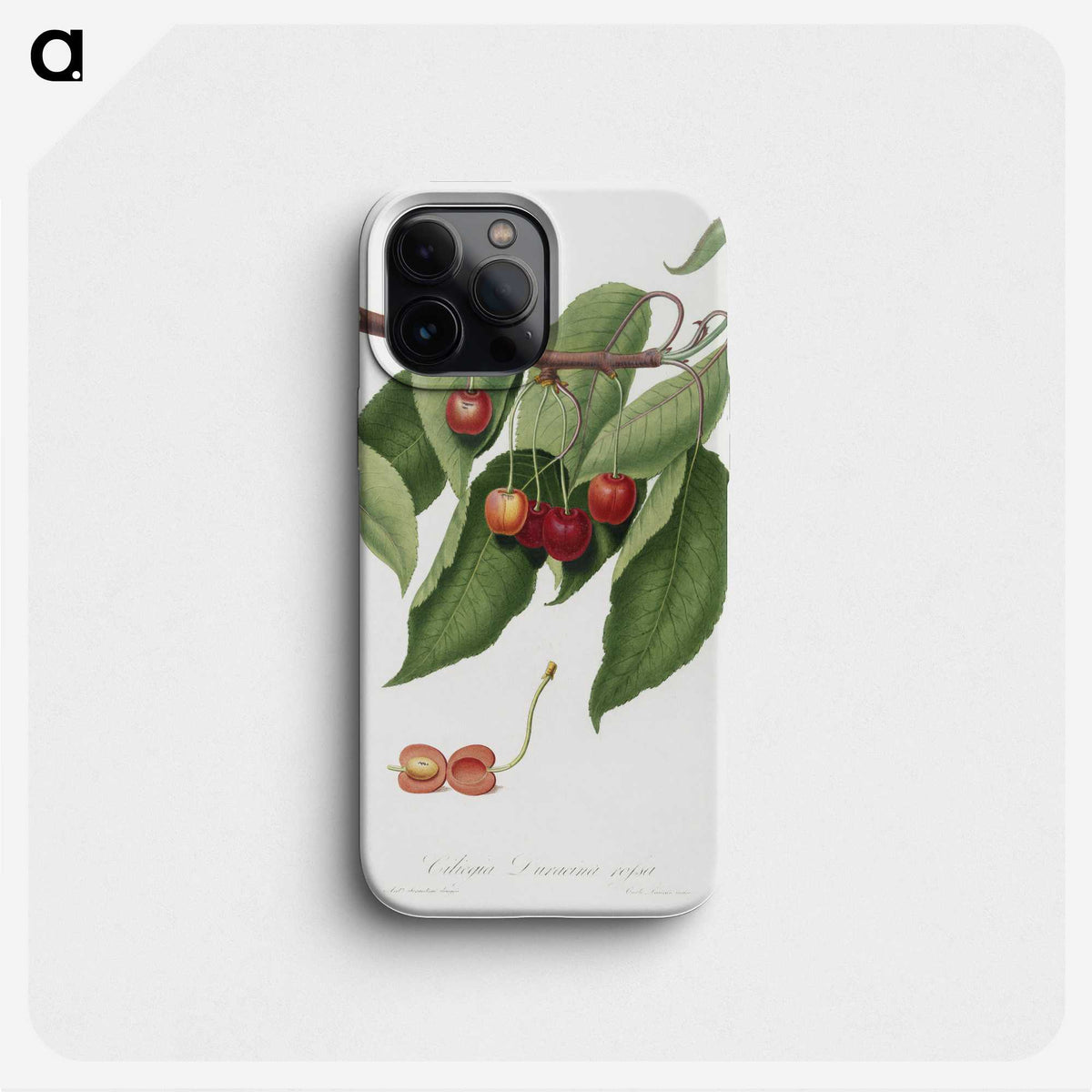 1-52_Pomona-Italiana_phone