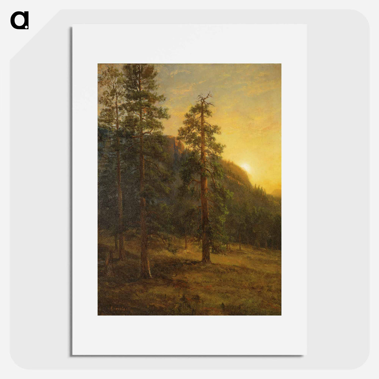 アートポスター-California Redwoods
- セントルイス美術館 Poster.