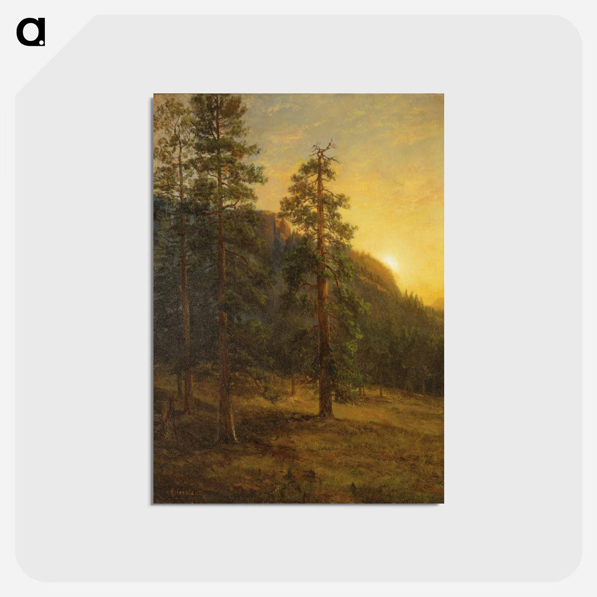 アートポストカード-California Redwoods
- セントルイス美術館 Postcard.