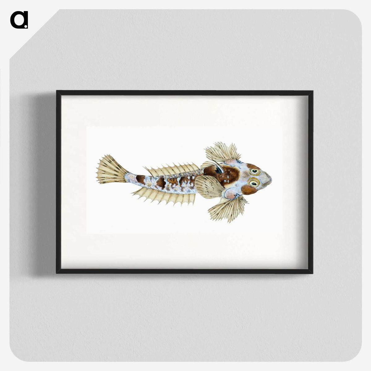 1-52_The-Natural-History-of-British-Fishes_blk