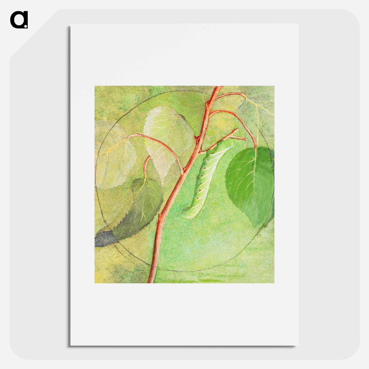 Sphinx Caterpillar - アボット ハンダーソン セイヤー Poster.