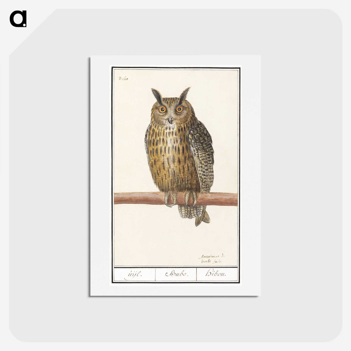 1-53_Anselmus-Boetius-de-Boodt_hagaki