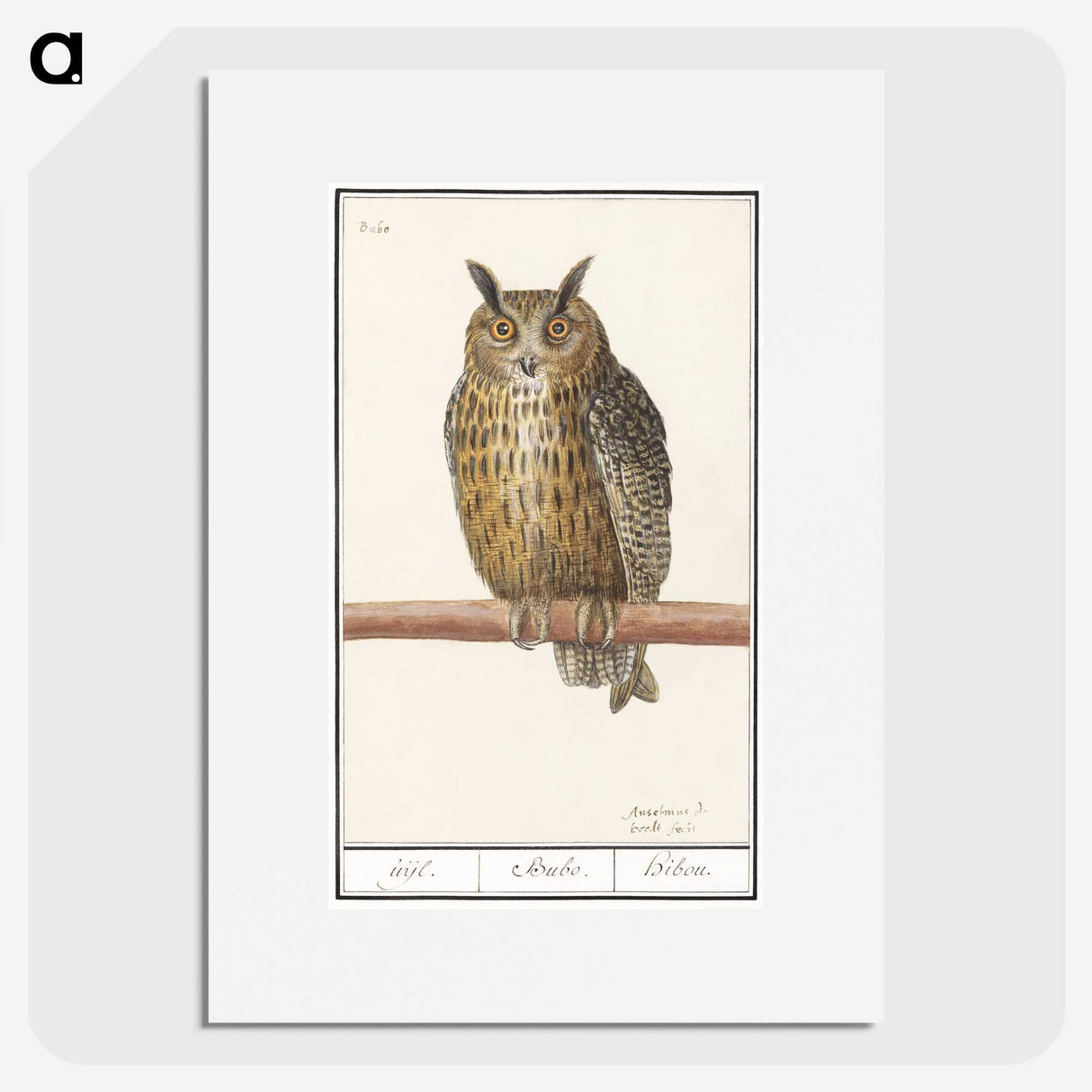1-53_Anselmus-Boetius-de-Boodt_picture