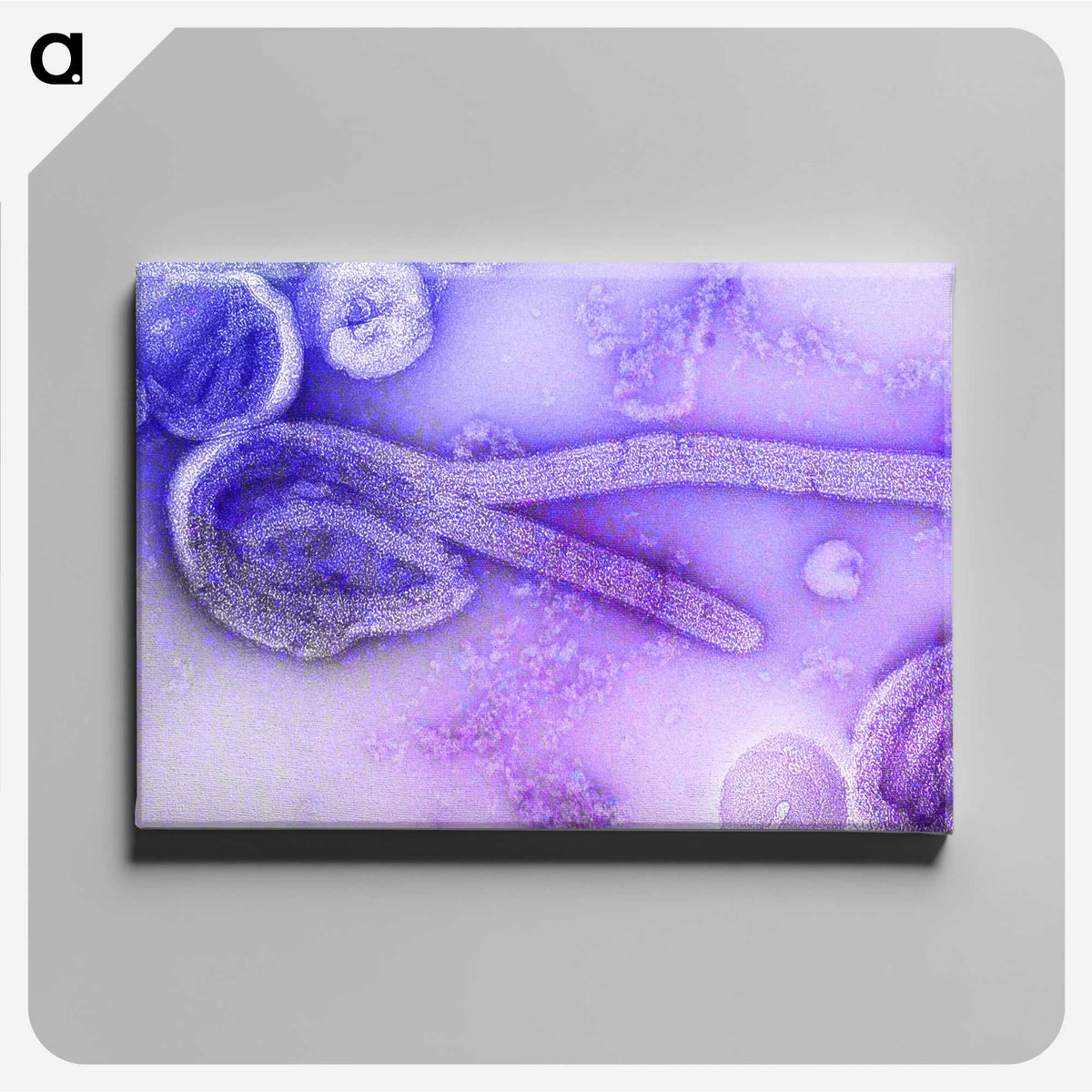 1-53_COVID-19_canvas