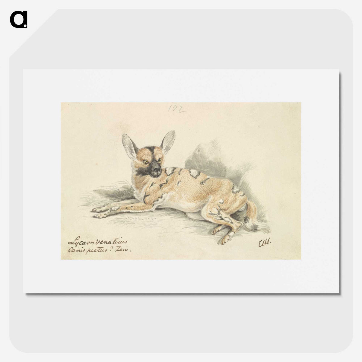 1-53_Charles-Hamilton-Smith_picture