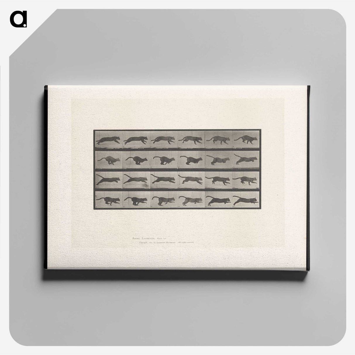 1-53_Eadweard-Muybridge_canvas