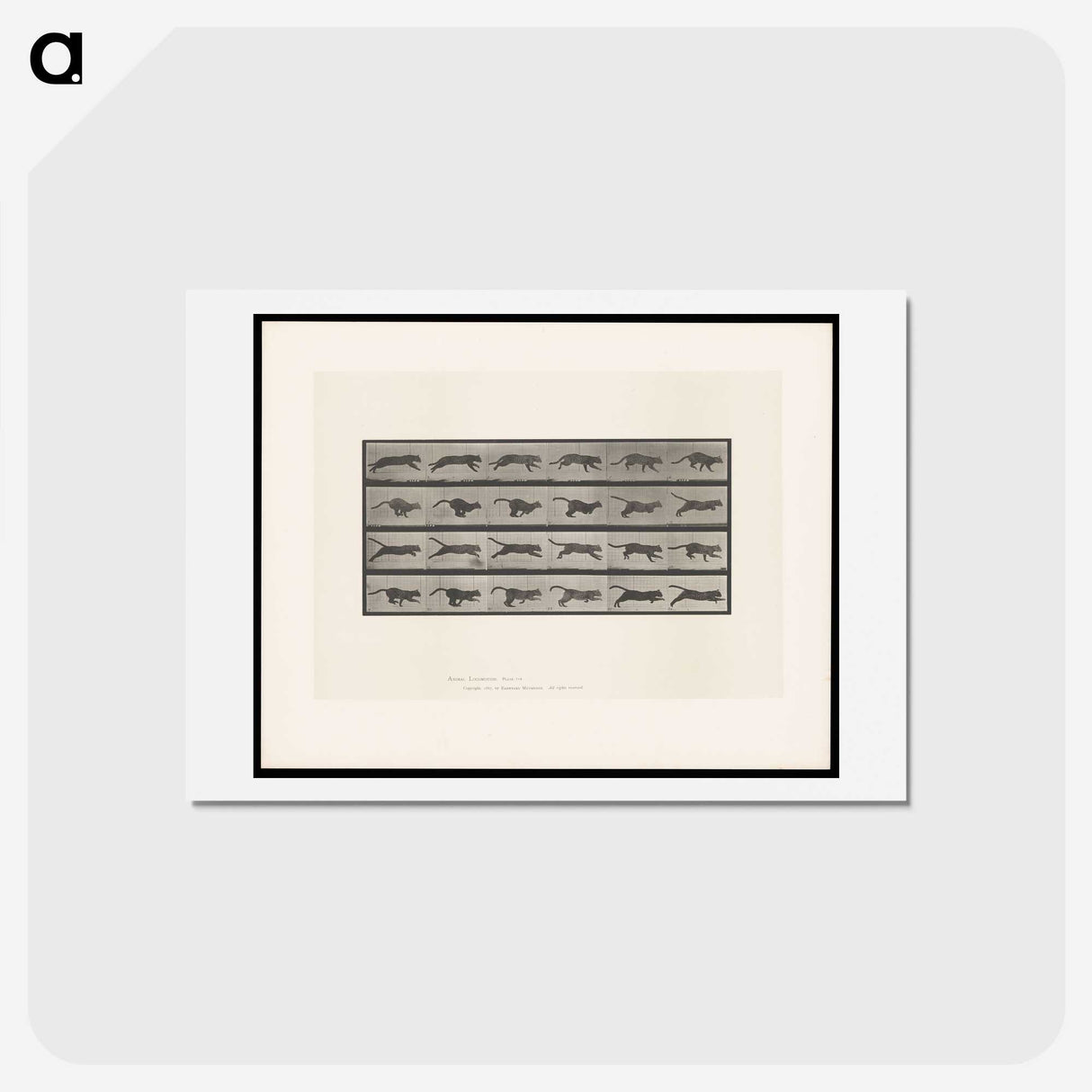 1-53_Eadweard-Muybridge_hagaki