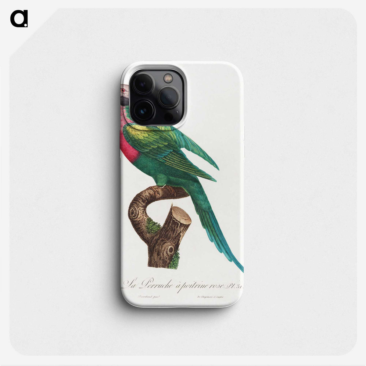 1-53_Francois-Levaillant_phone