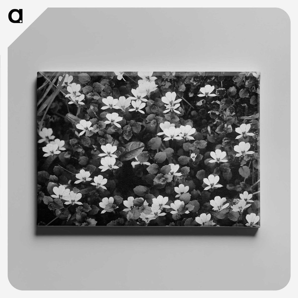 1-53_Frederick-Charles-Brockett_canvas