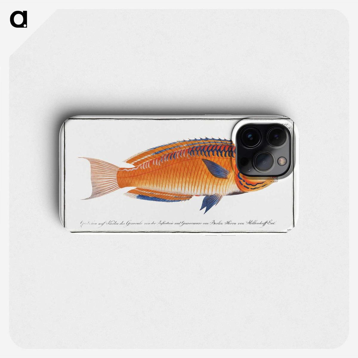 1-53_Ichtyologie-ou-Histoire-naturelle_phone