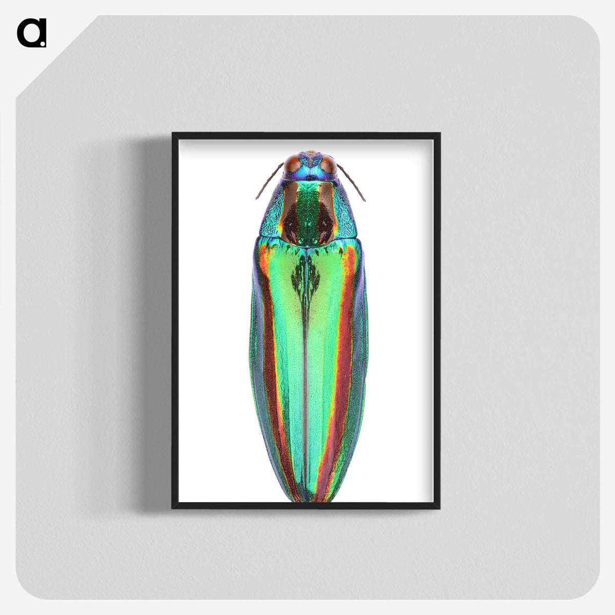 1-53_Insects-Unlocked-Project_blk-crop