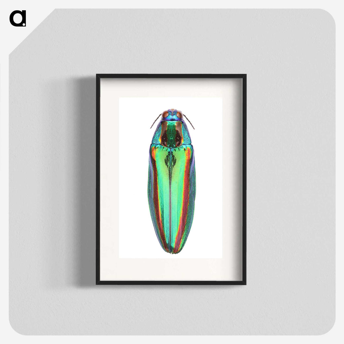 1-53_Insects-Unlocked-Project_blk