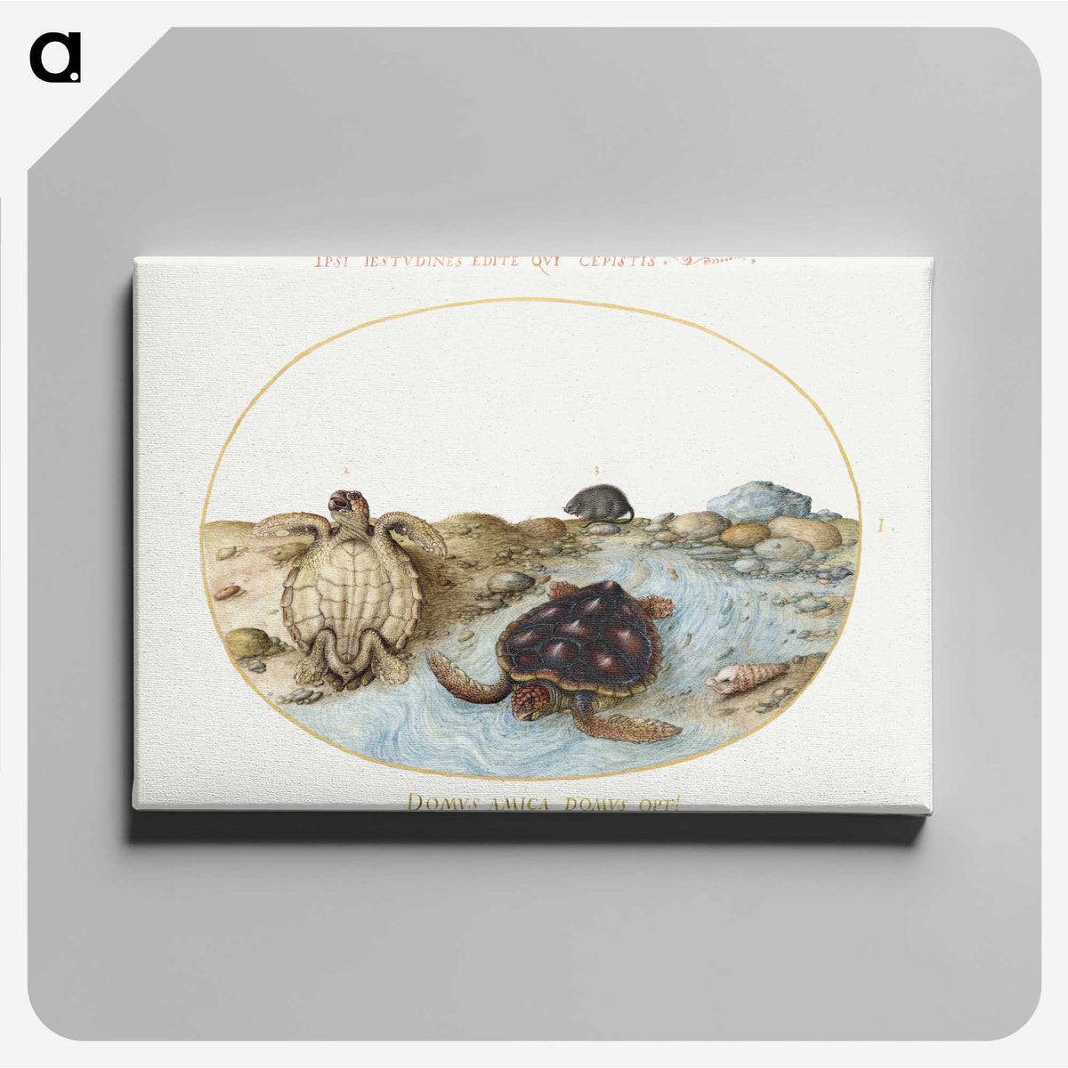 1-53_Joris-Hoefnagel_canvas
