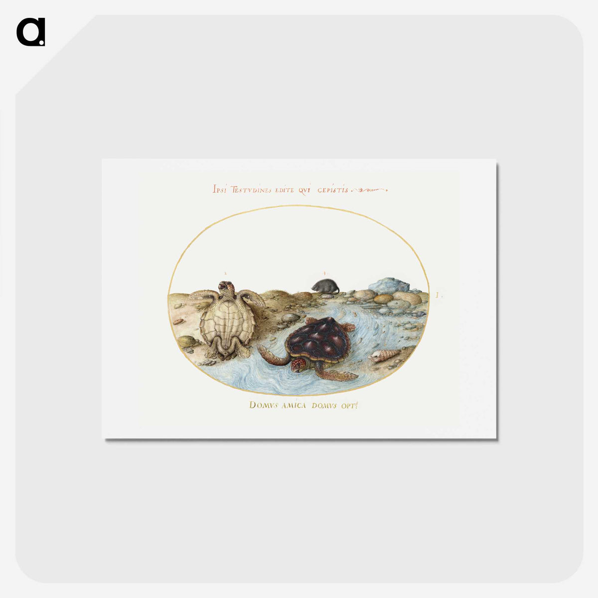 1-53_Joris-Hoefnagel_hagaki