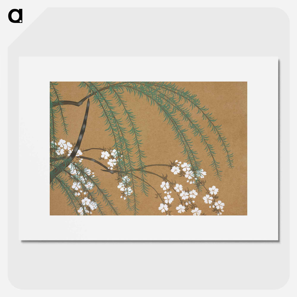 Blossoms from Momoyogusa–Flowers of a Hundred Generations - 神坂 雪佳 Poster.