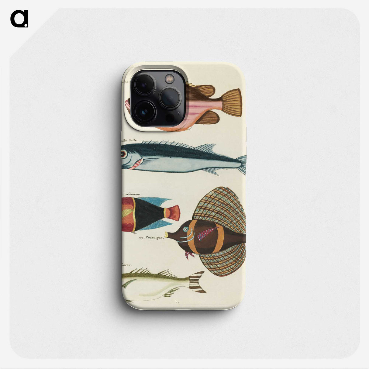1-53_Louis-Renard_phone