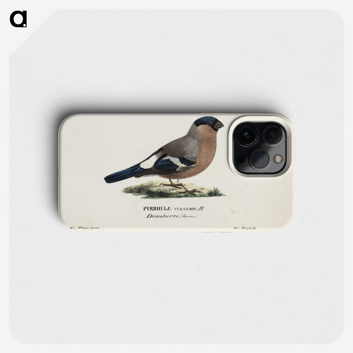 1-53_Magnus-von-Wright_phone