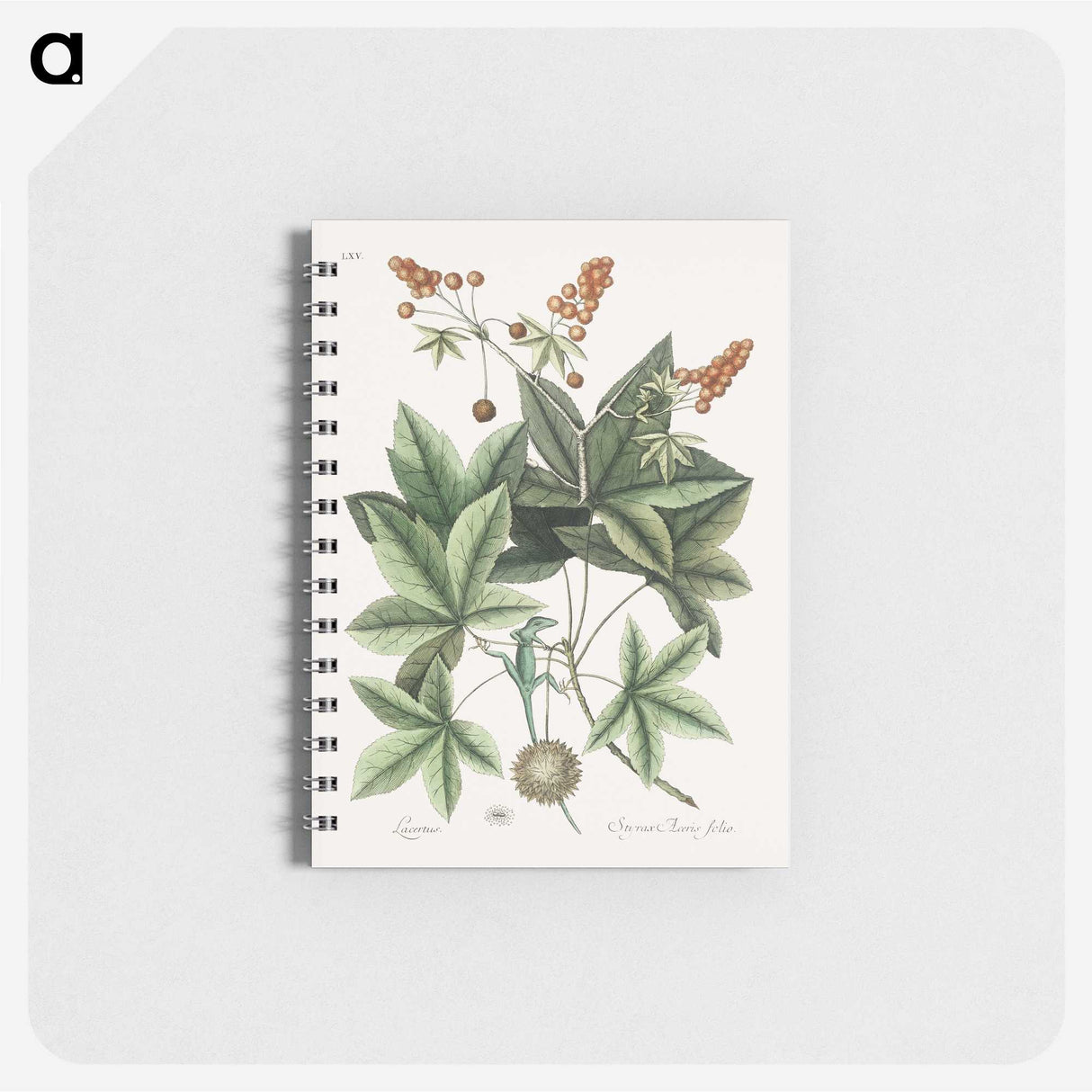 1-53_Mark-Catesby_memo