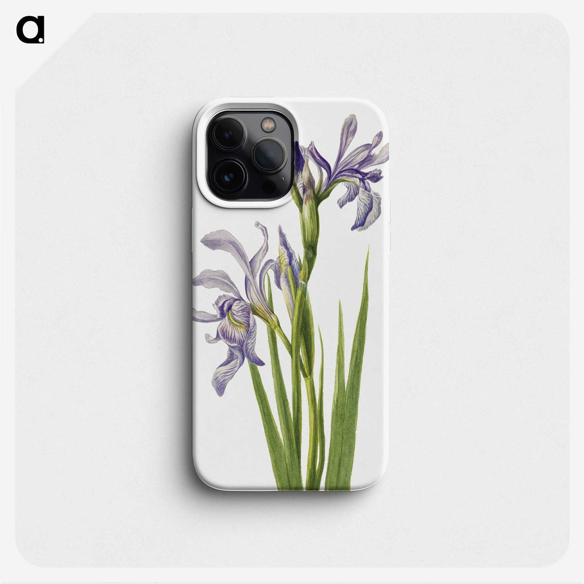 1-53_Mary-Vaux-Walcott_phone