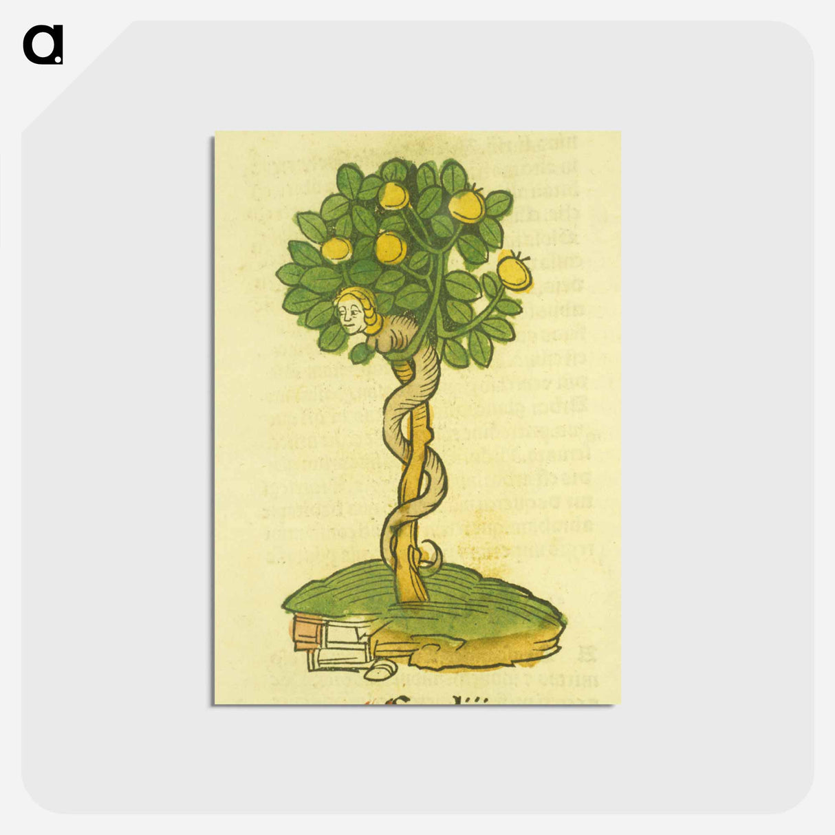 アートポストカード-Arbor vellignum vite paradisi
- 国立医学図書館 Postcard.