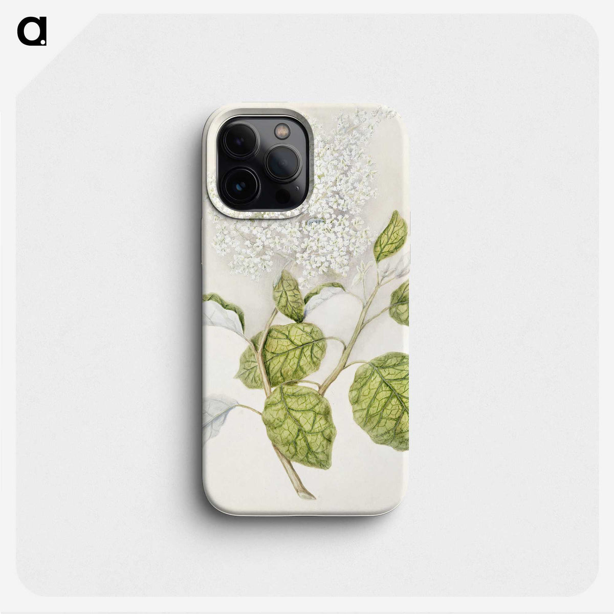 1-53_Native-Flowering-Plants-of-New-Zealand_phone