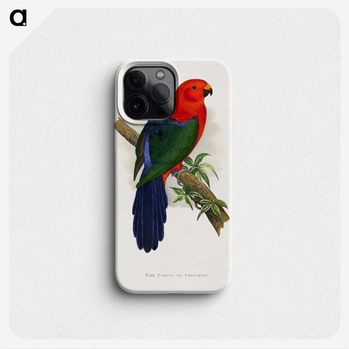 1-53_Parrots-in-Captivity_phone