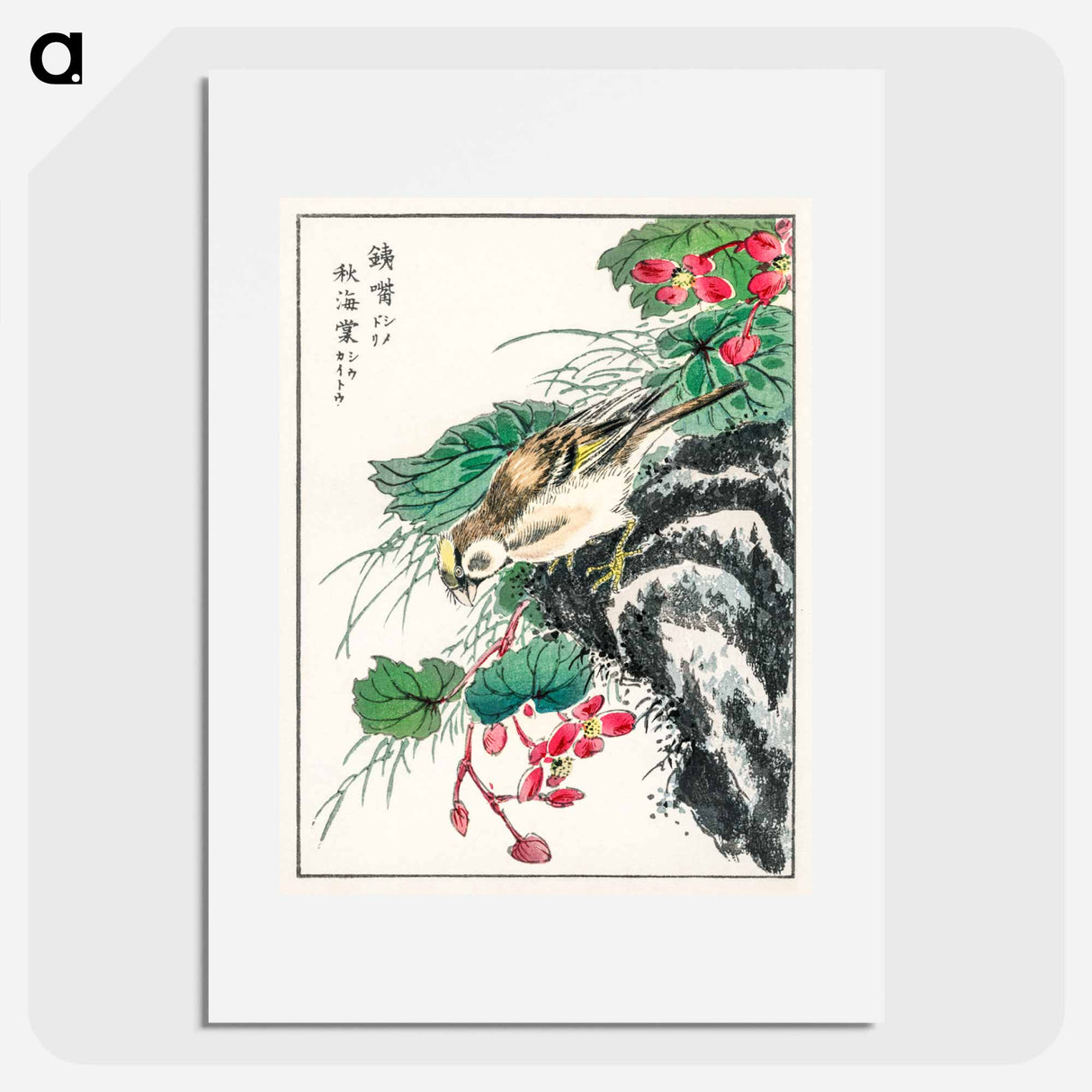 アートポスター-Japanese Hawfinch and Pirus Spectabilis
- 鳥類図鑑 Poster.