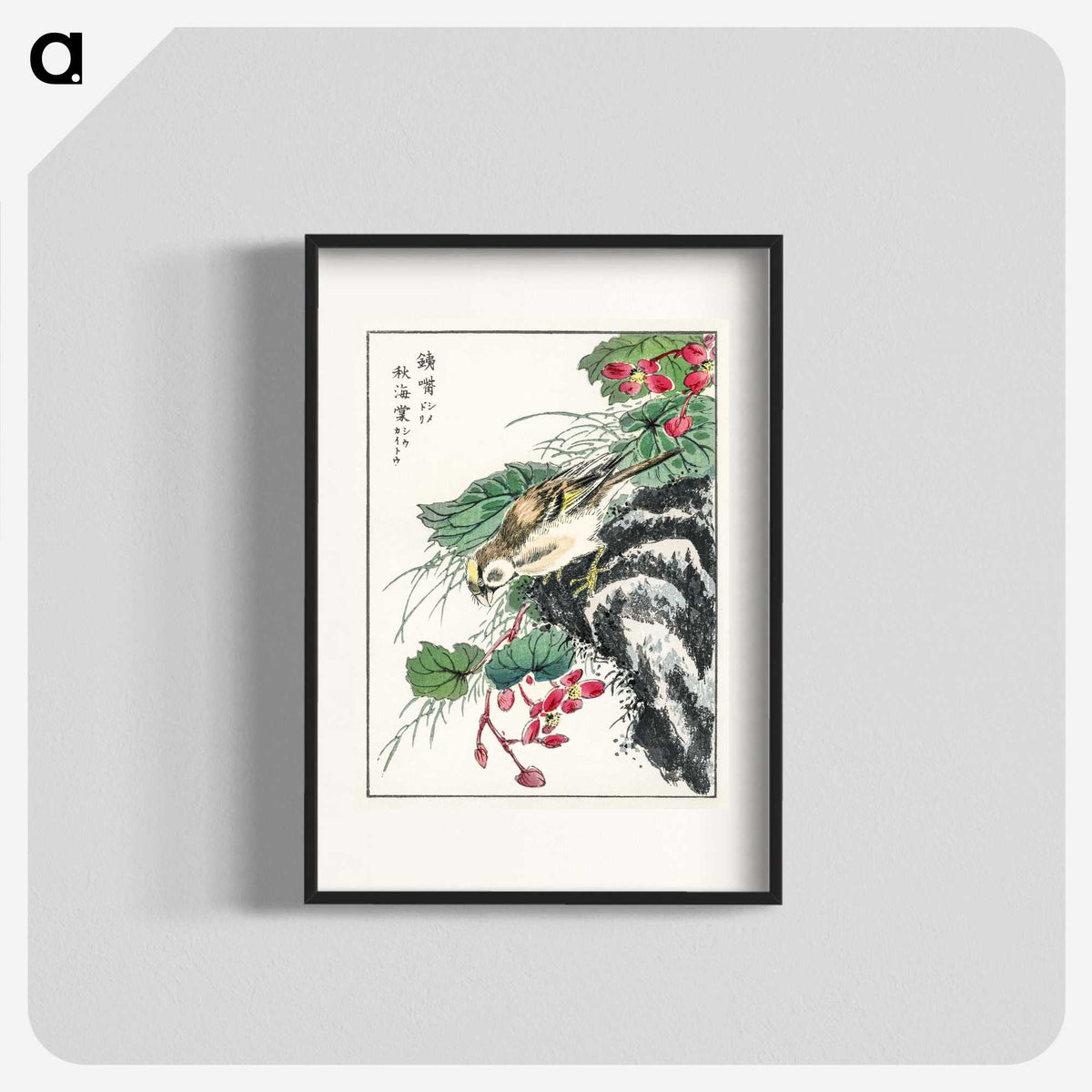 1-53_Pictorial-Monograph-of-Birds_blk