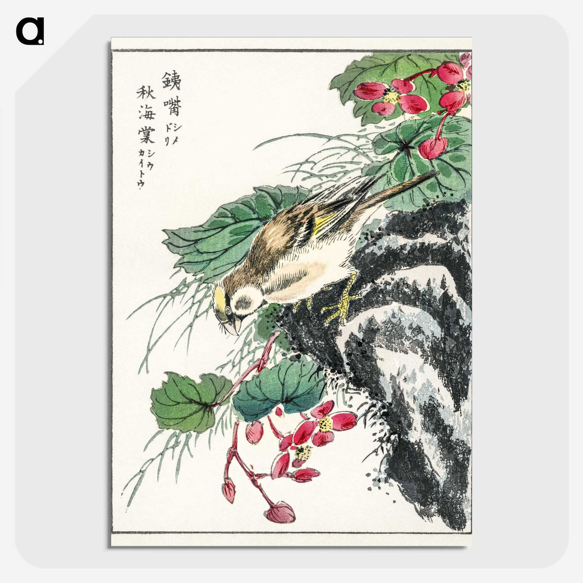 1-53_Pictorial-Monograph-of-Birds_picture-crop