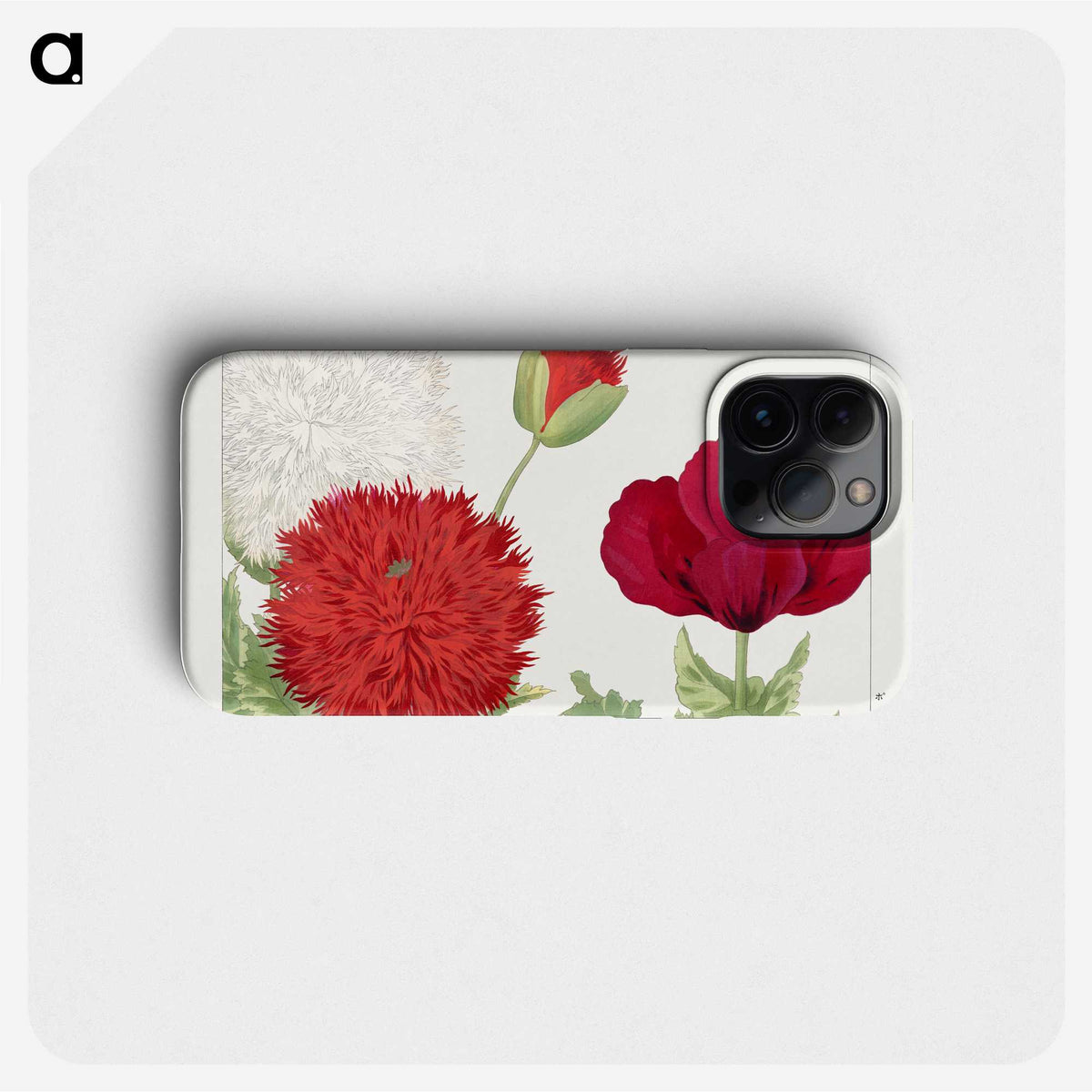 1-53_Seiyo-Soka-Zufu_phone