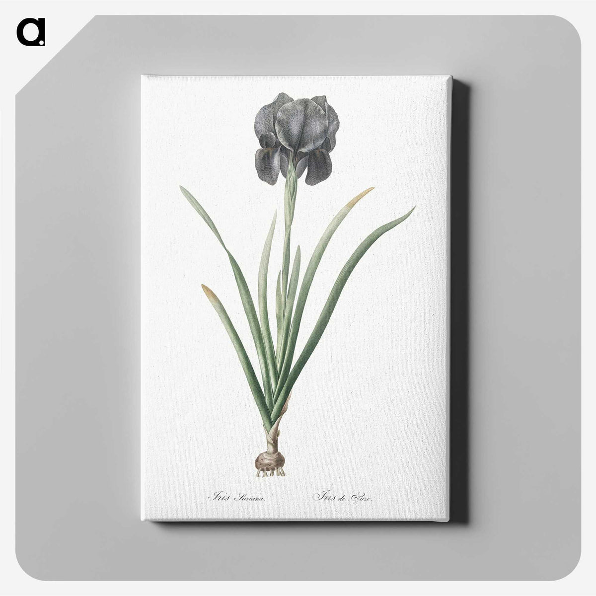 1-53_The-Lilies_canvas