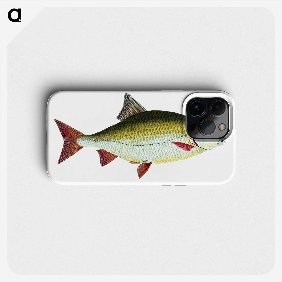 1-53_The-Natural-History-of-British-Fishes_phone