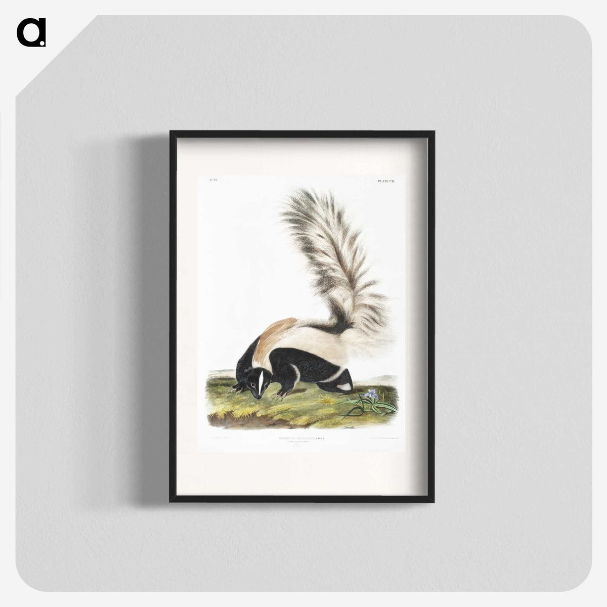 1-53_The-Viviparous-Quadrupeds_blk
