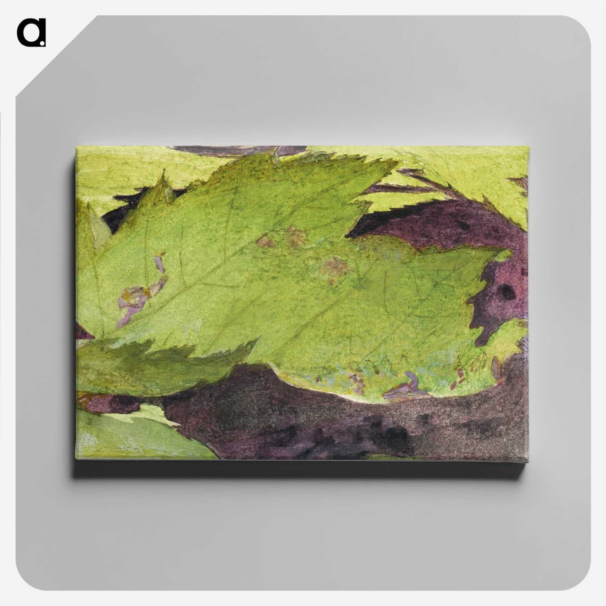 1-54_Abbott-Handerson-Thayer_canvas
