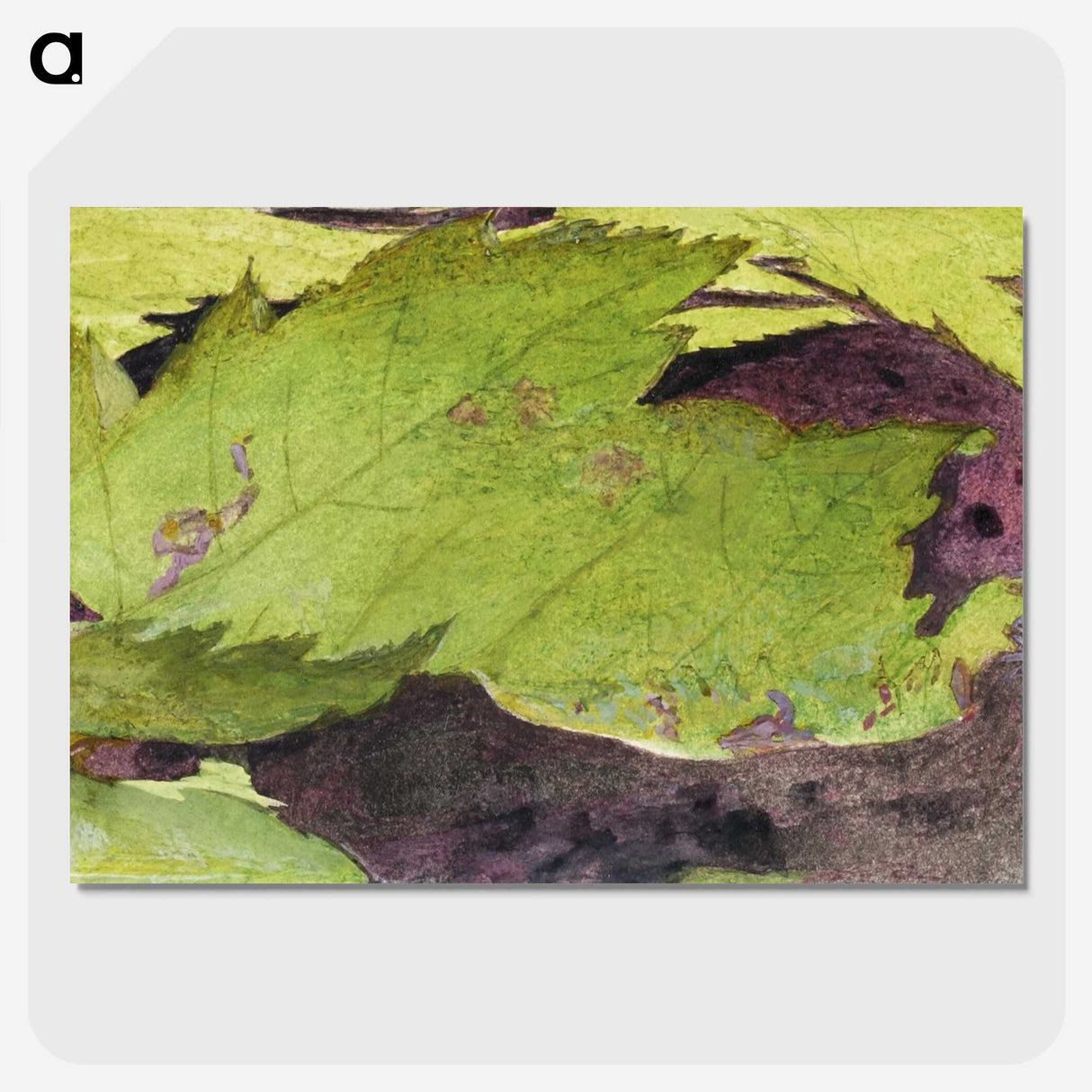 1-54_Abbott-Handerson-Thayer_picture-crop