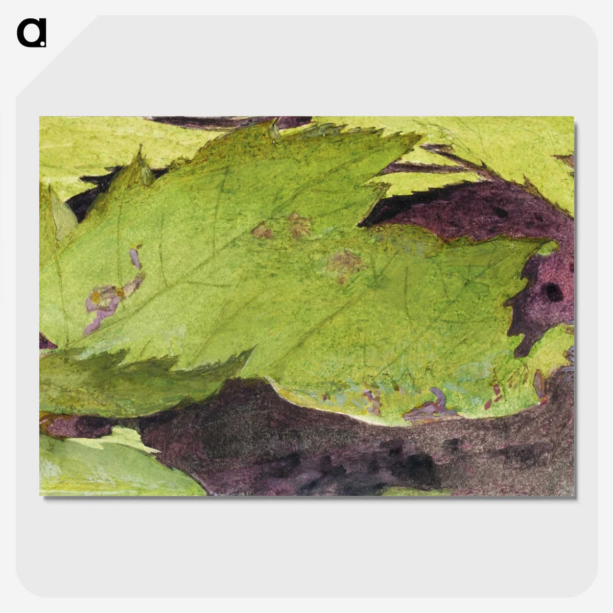 1-54_Abbott-Handerson-Thayer_picture-crop