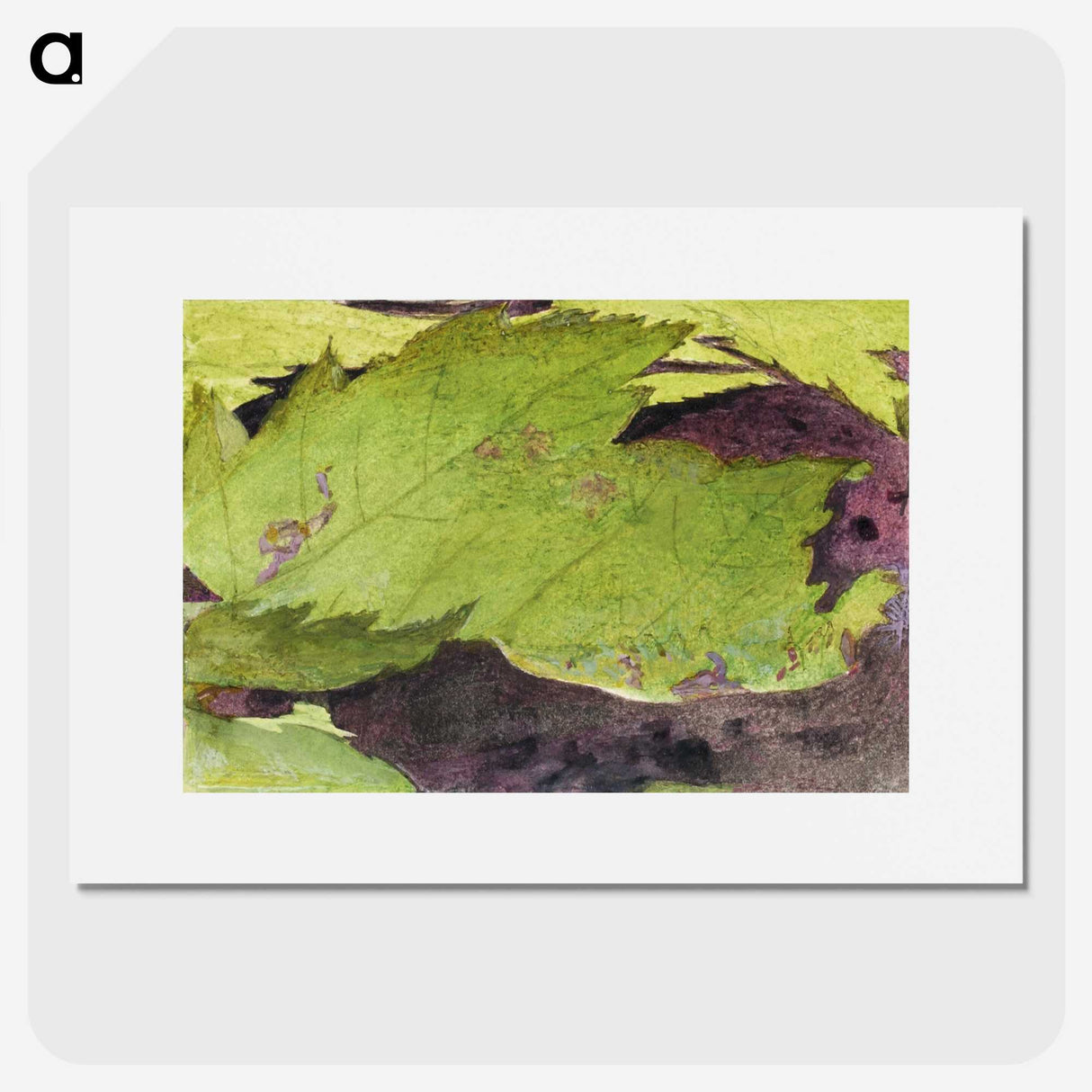 1-54_Abbott-Handerson-Thayer_picture