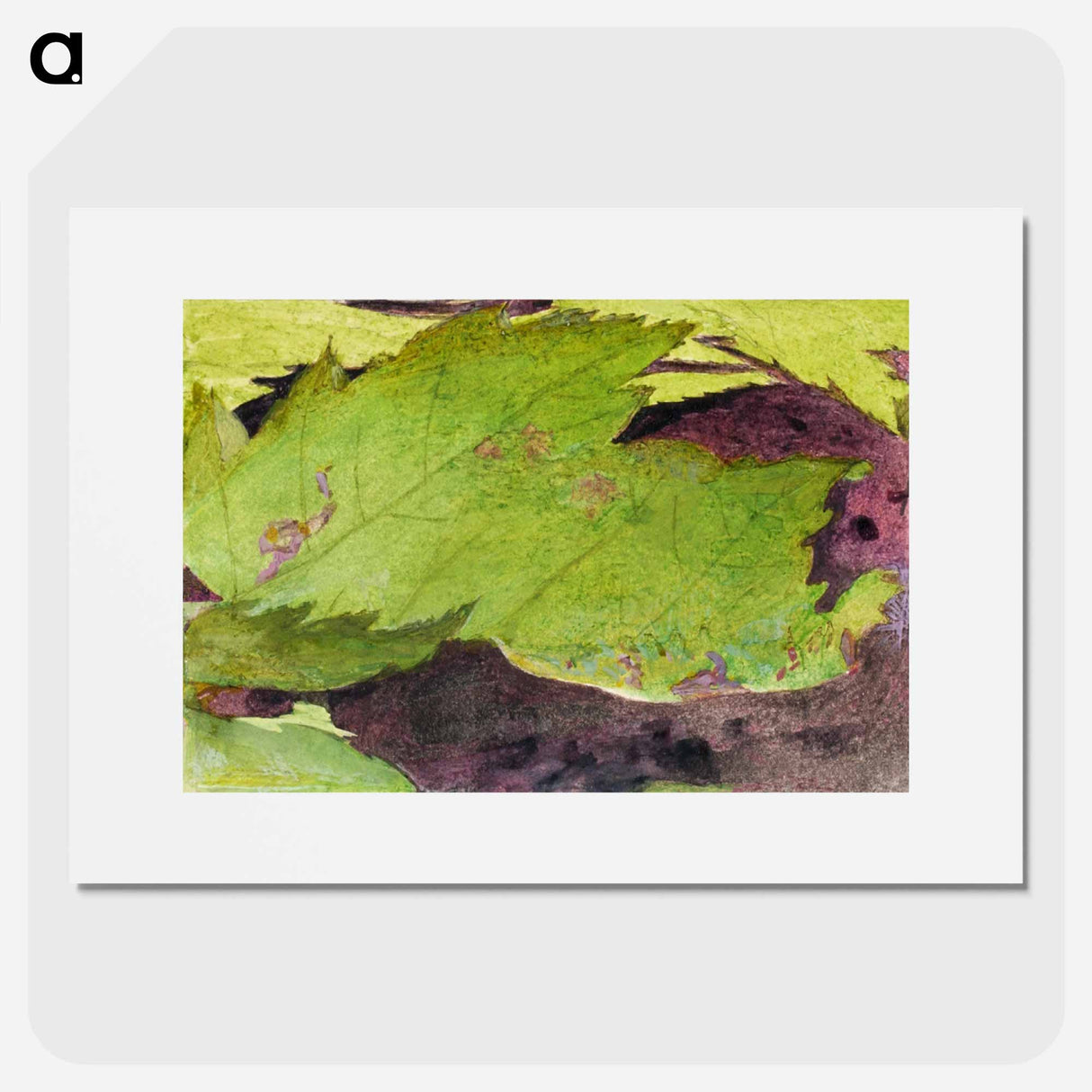 Heterocampa Biundata - アボット ハンダーソン セイヤー Poster.