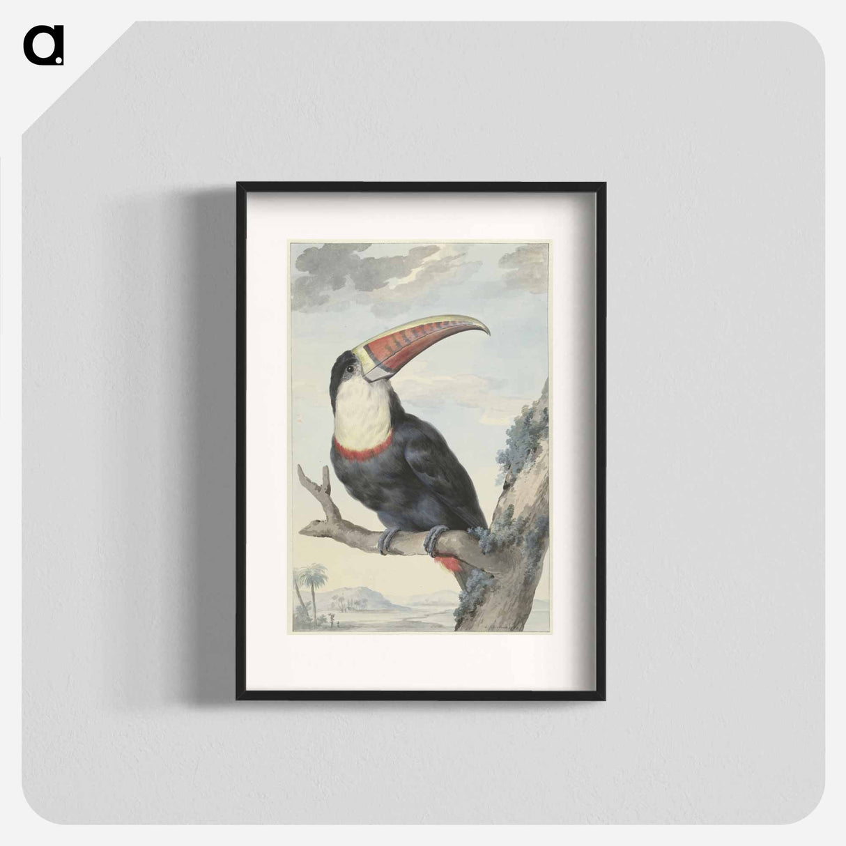 Red-billed Toucan - アールト シューマン Poster.