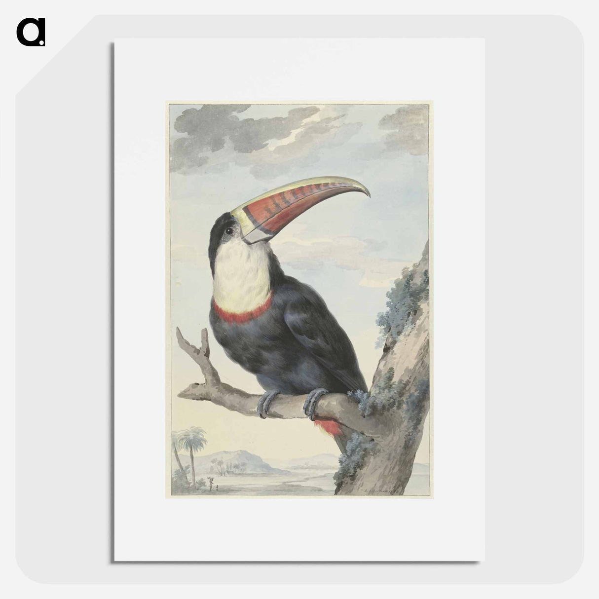 Red-billed Toucan - アールト シューマン Poster.