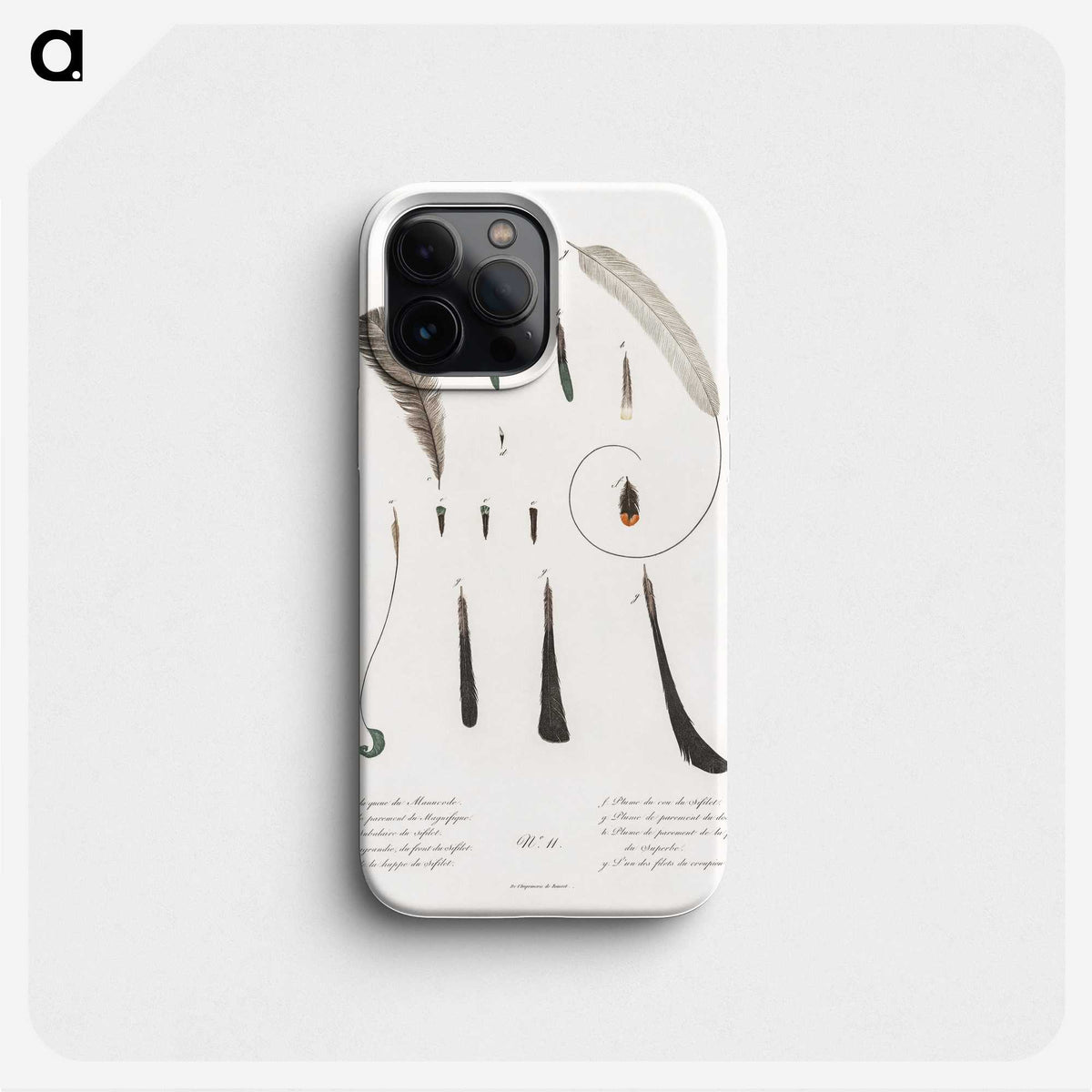 1-54_Des-Oiseaux-de-Paradis_phone