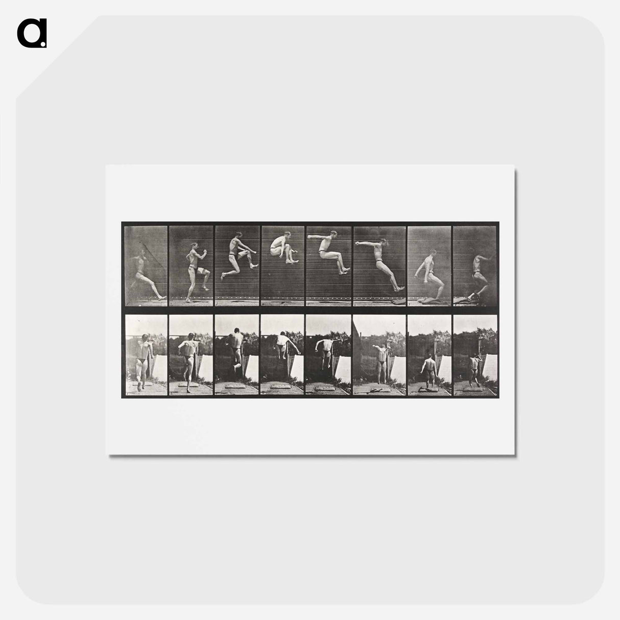 アートポストカード-Animal Locomotion
- エドワード マイブリッジ Postcard.