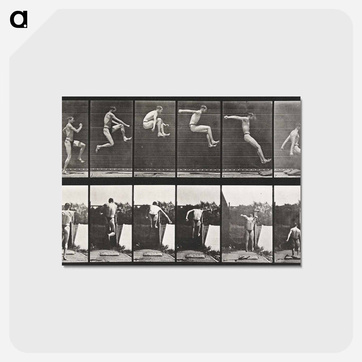 アートポストカード-Animal Locomotion
- エドワード マイブリッジ Postcard.