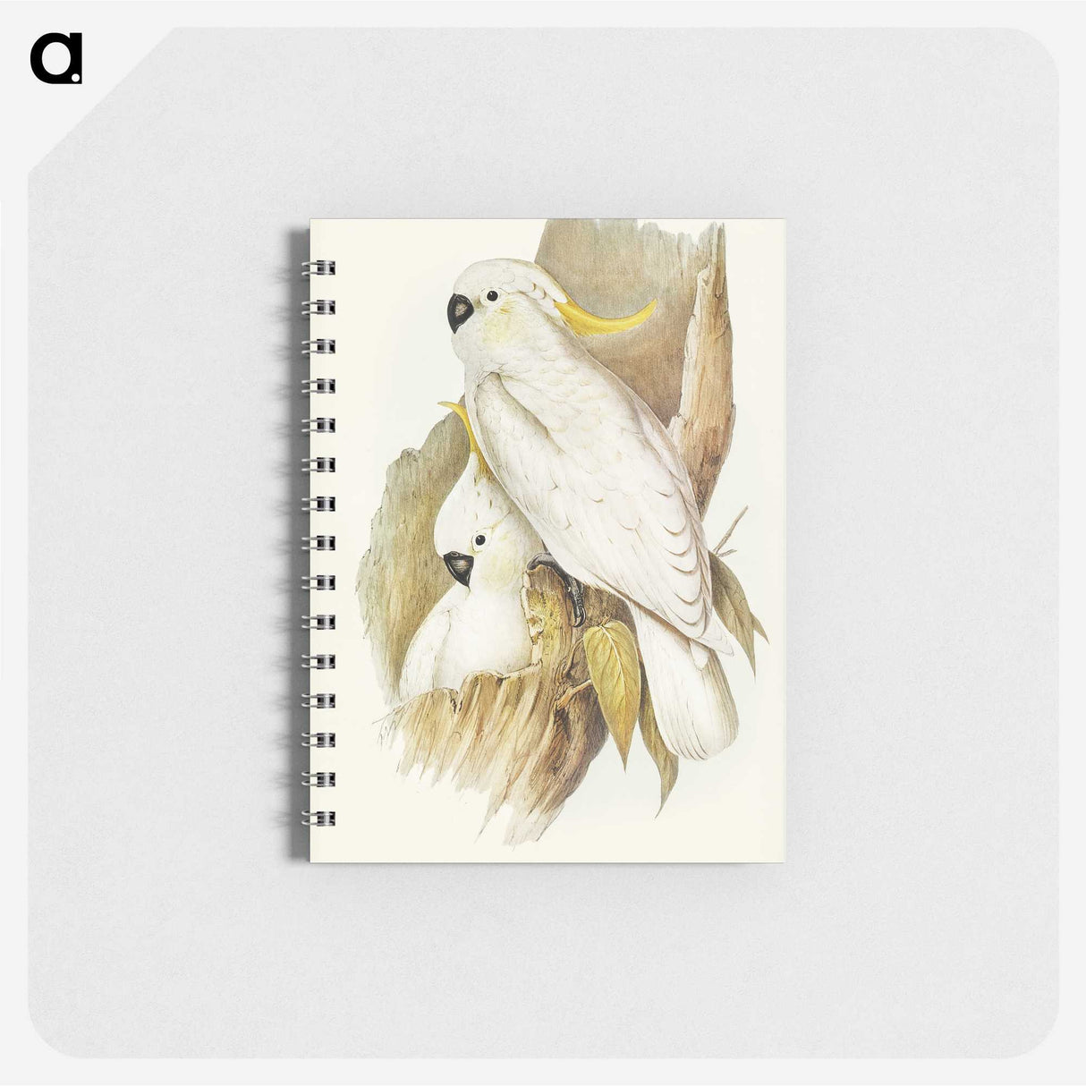 1-54_John-Gould_memo