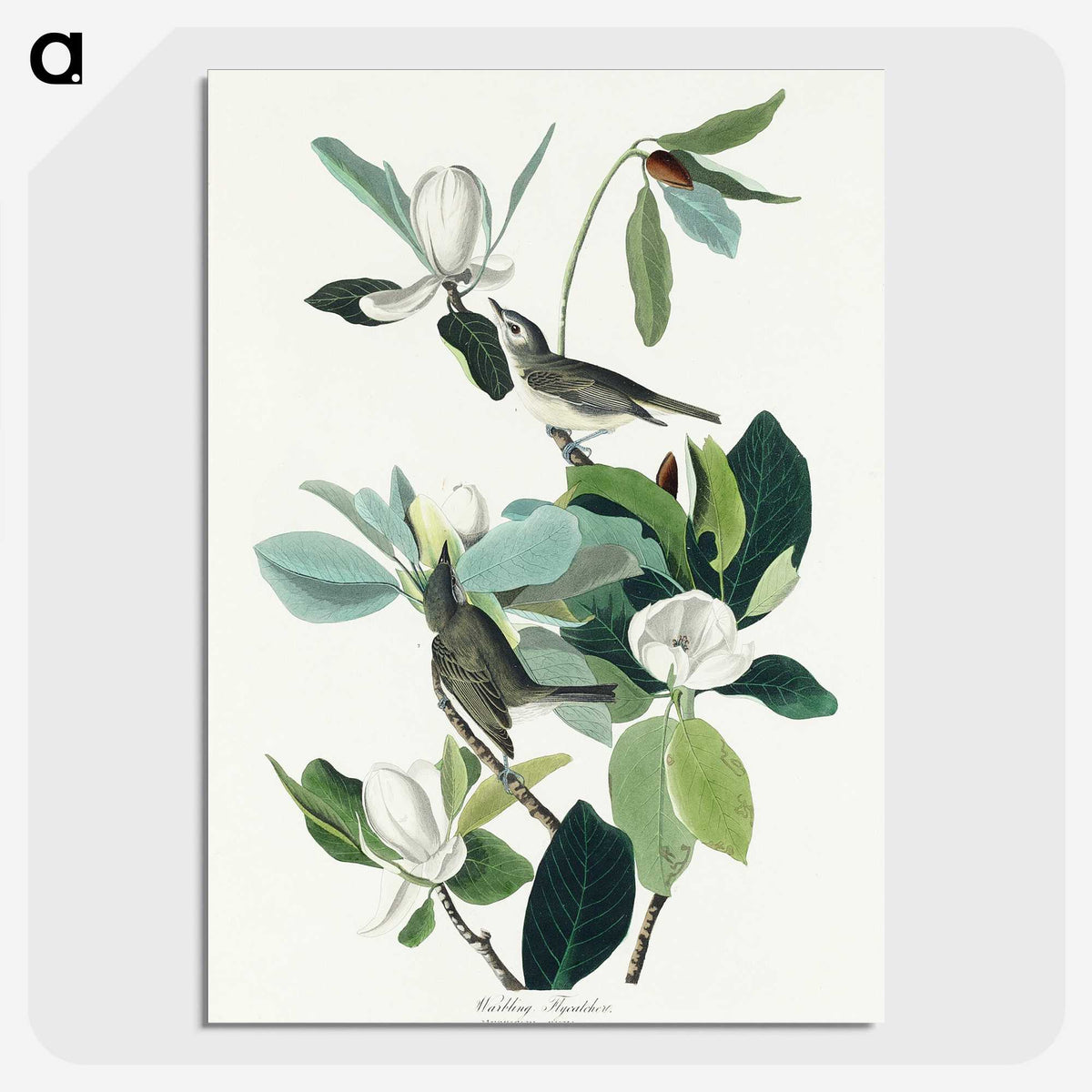 1-54_John-James-Audubon_picture-crop