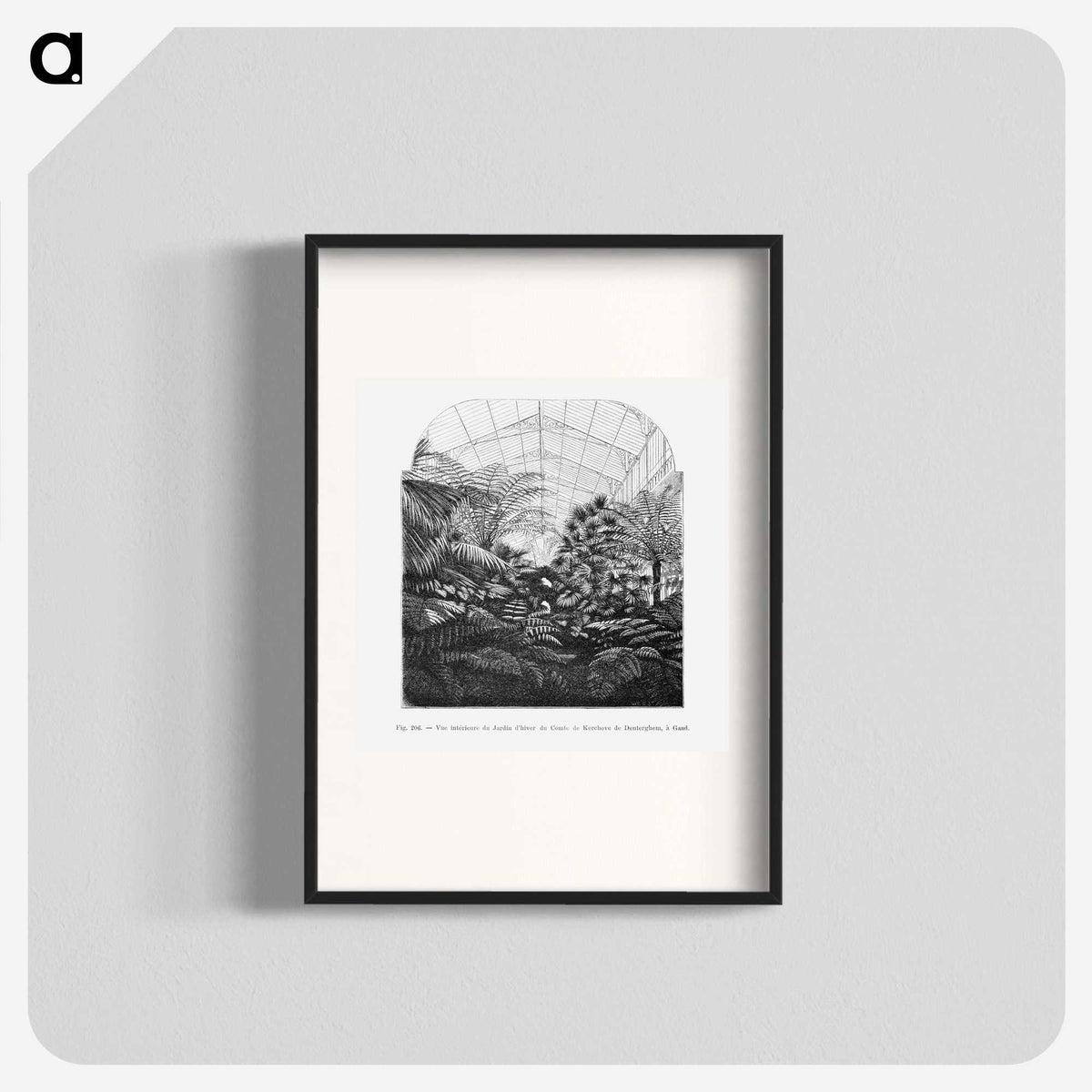 1-54_Les-Palmiers-Histoire-Iconographique_blk