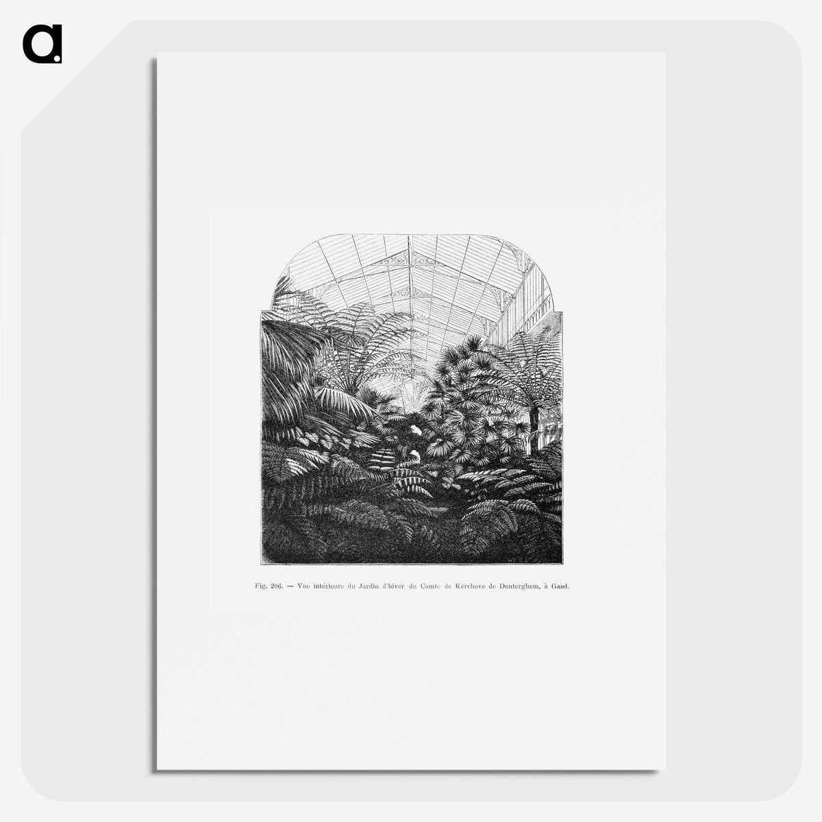 1-54_Les-Palmiers-Histoire-Iconographique_picture