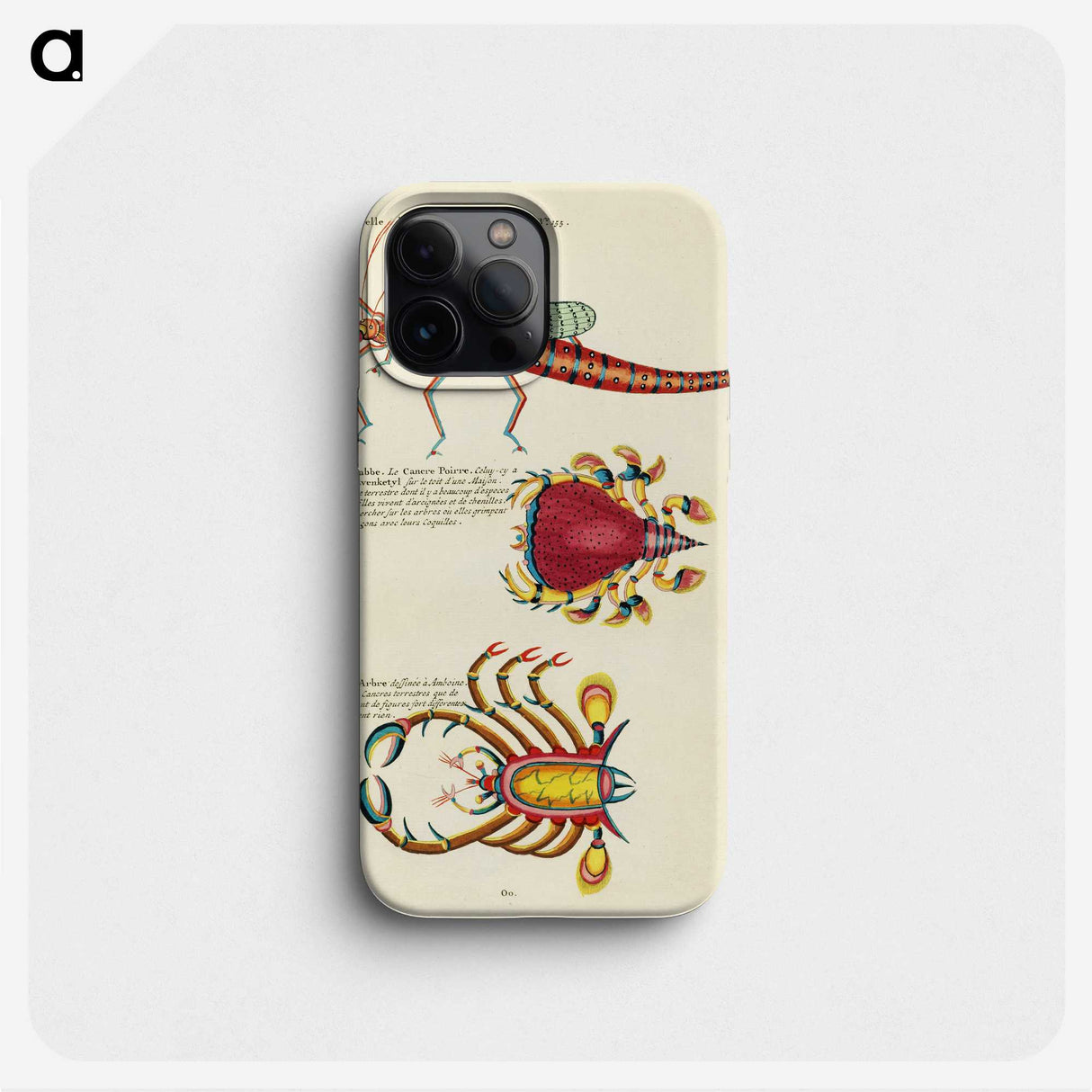 1-54_Louis-Renard_phone
